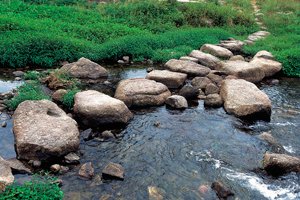 Stepping Stones